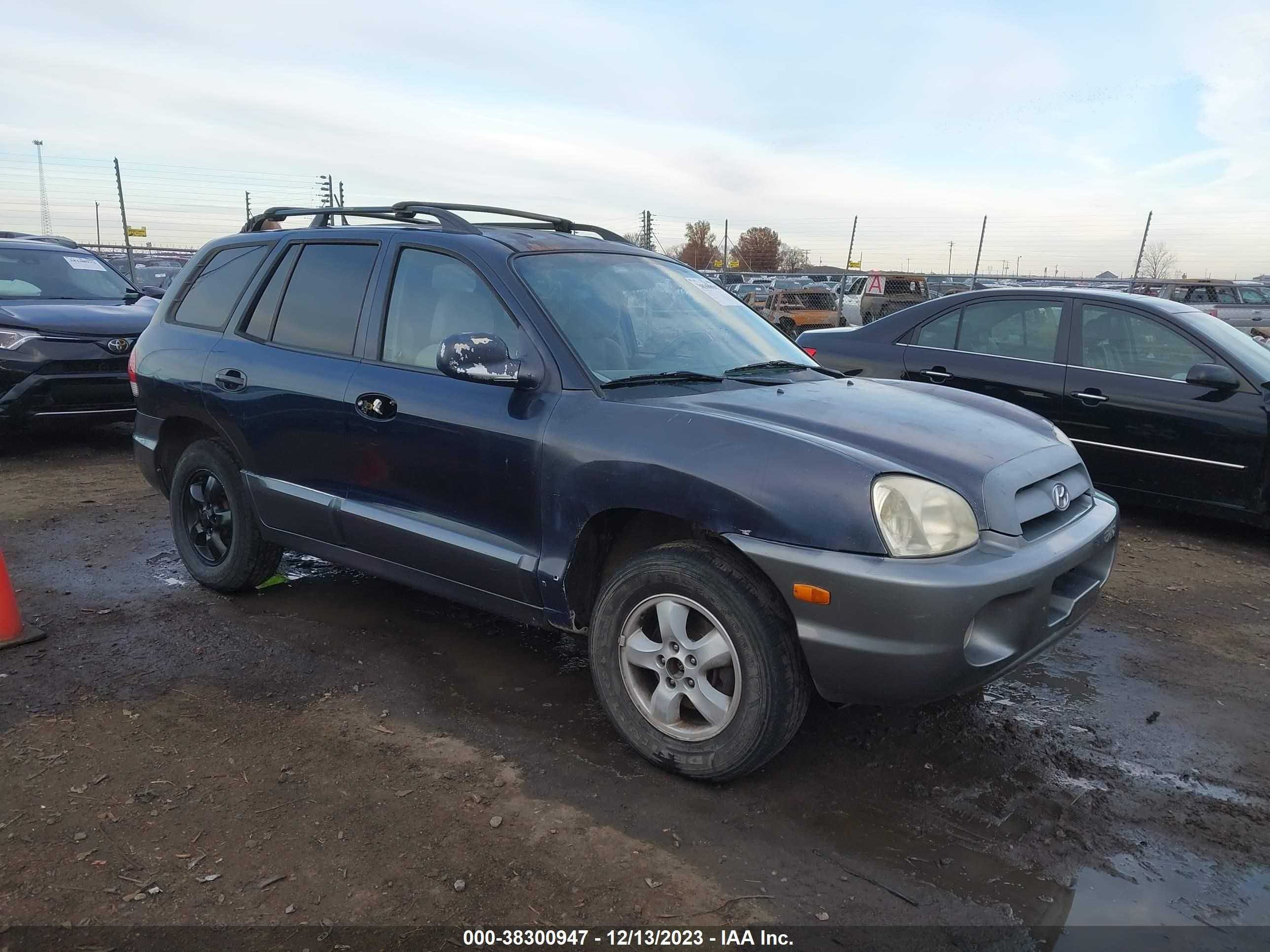 HYUNDAI SANTA FE 2005 km8sc13d35u876125