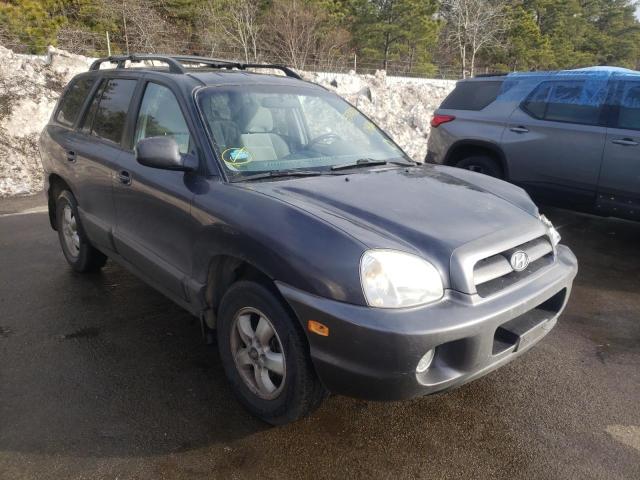 HYUNDAI SANTA FE G 2006 km8sc13d36u098166