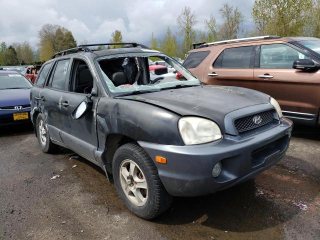 HYUNDAI SANTA FE G 2003 km8sc13d43u363768