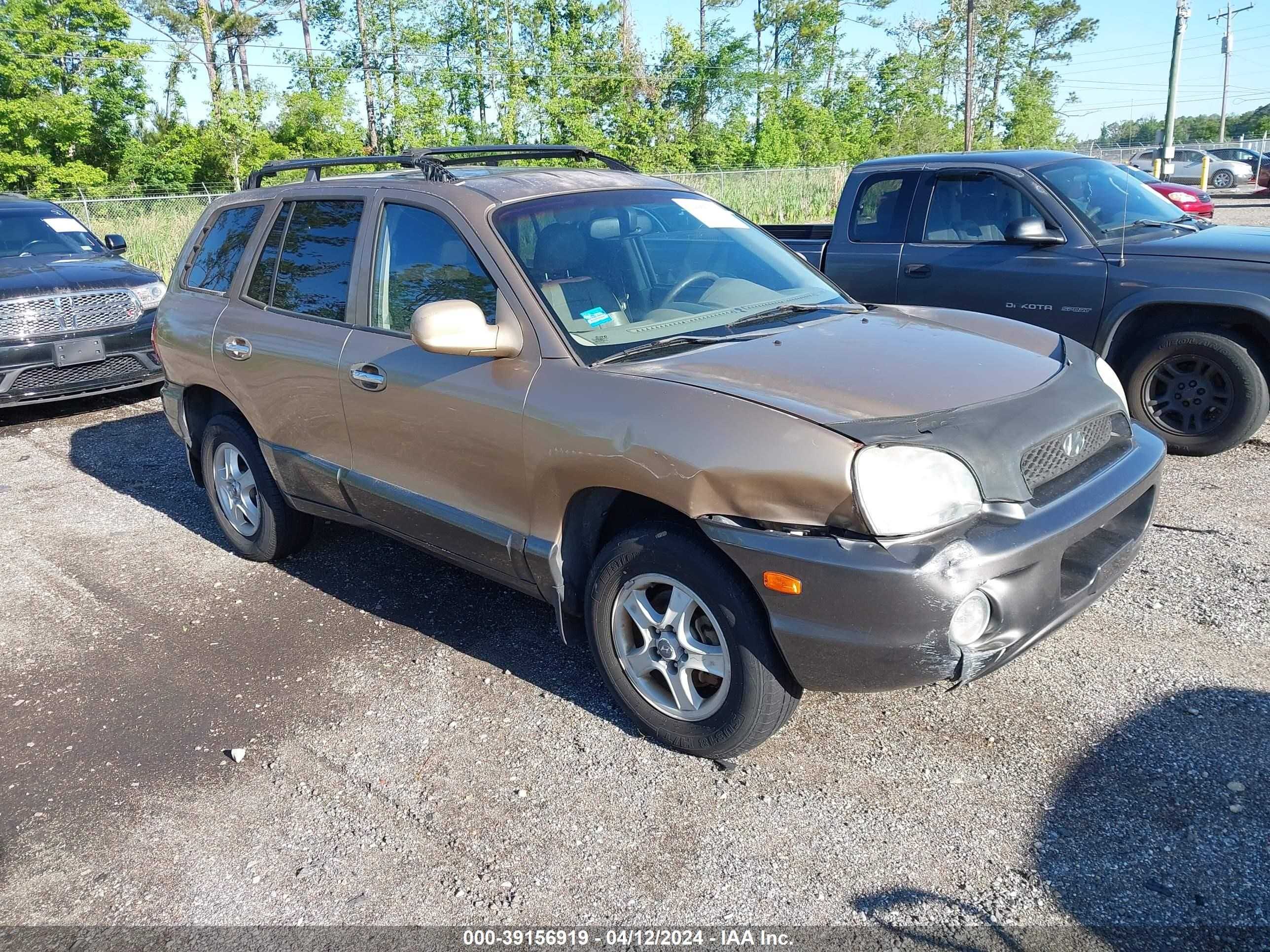 HYUNDAI SANTA FE 2003 km8sc13d43u384541