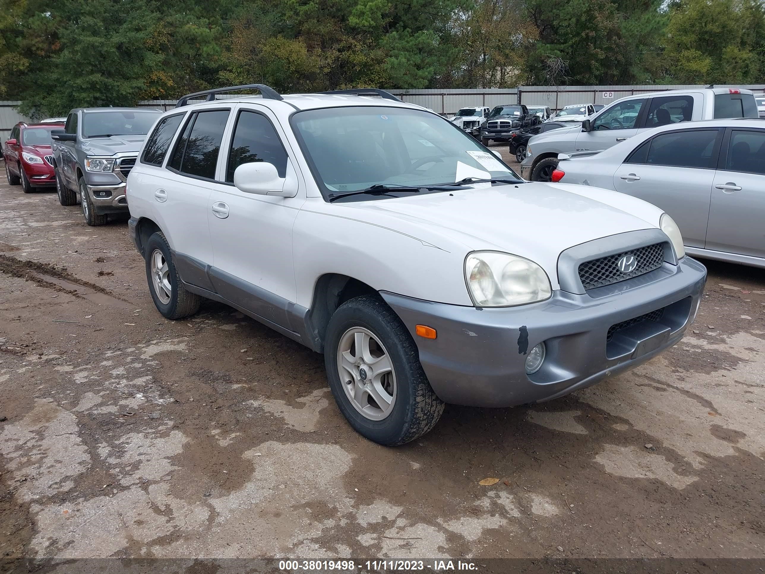 HYUNDAI SANTA FE 2003 km8sc13d43u492481