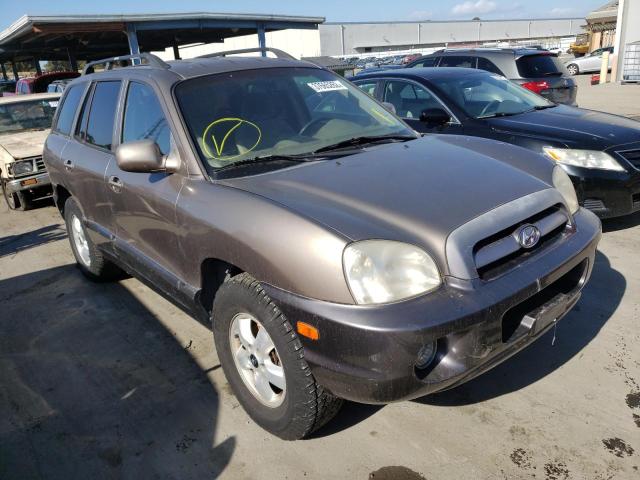 HYUNDAI SANTA FE G 2005 km8sc13d45u939197