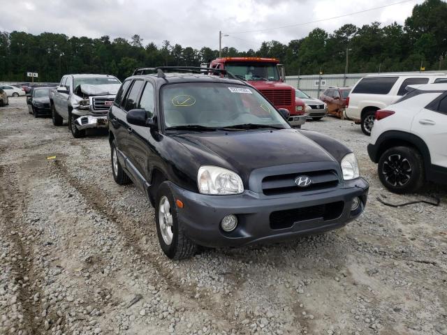 HYUNDAI SANTA FE G 2005 km8sc13d45u950801