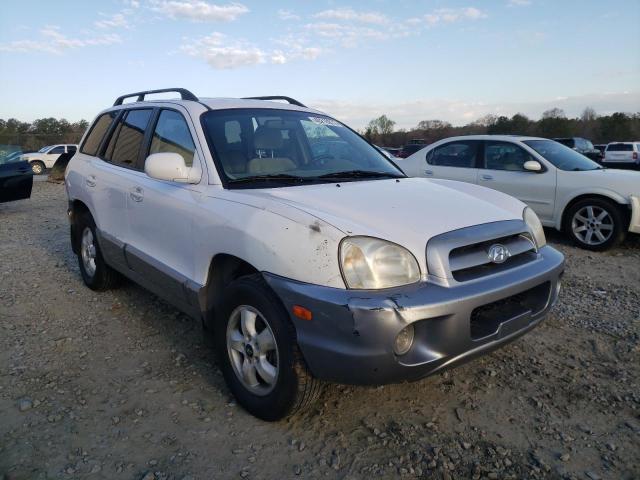 HYUNDAI SANTA FE G 2006 km8sc13d46u032841