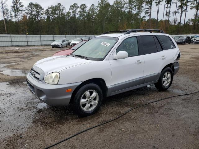 HYUNDAI SANTA FE 2006 km8sc13d46u092120