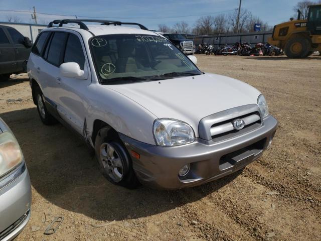 HYUNDAI SANTA FE G 2006 km8sc13d46u100295