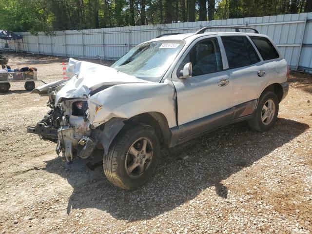 HYUNDAI SANTA FE 2002 km8sc13d52u277092