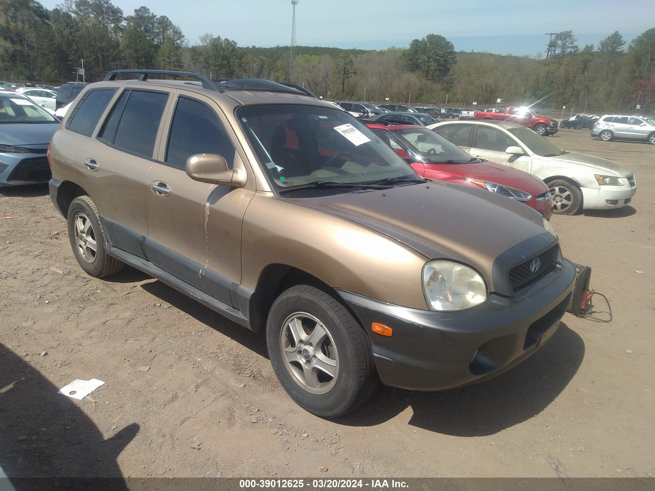 HYUNDAI SANTA FE 2003 km8sc13d53u433939