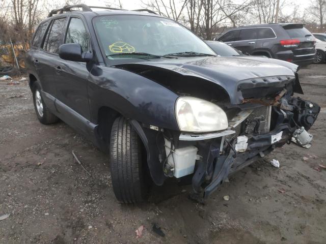 HYUNDAI SANTA FE G 2005 km8sc13d55u871332