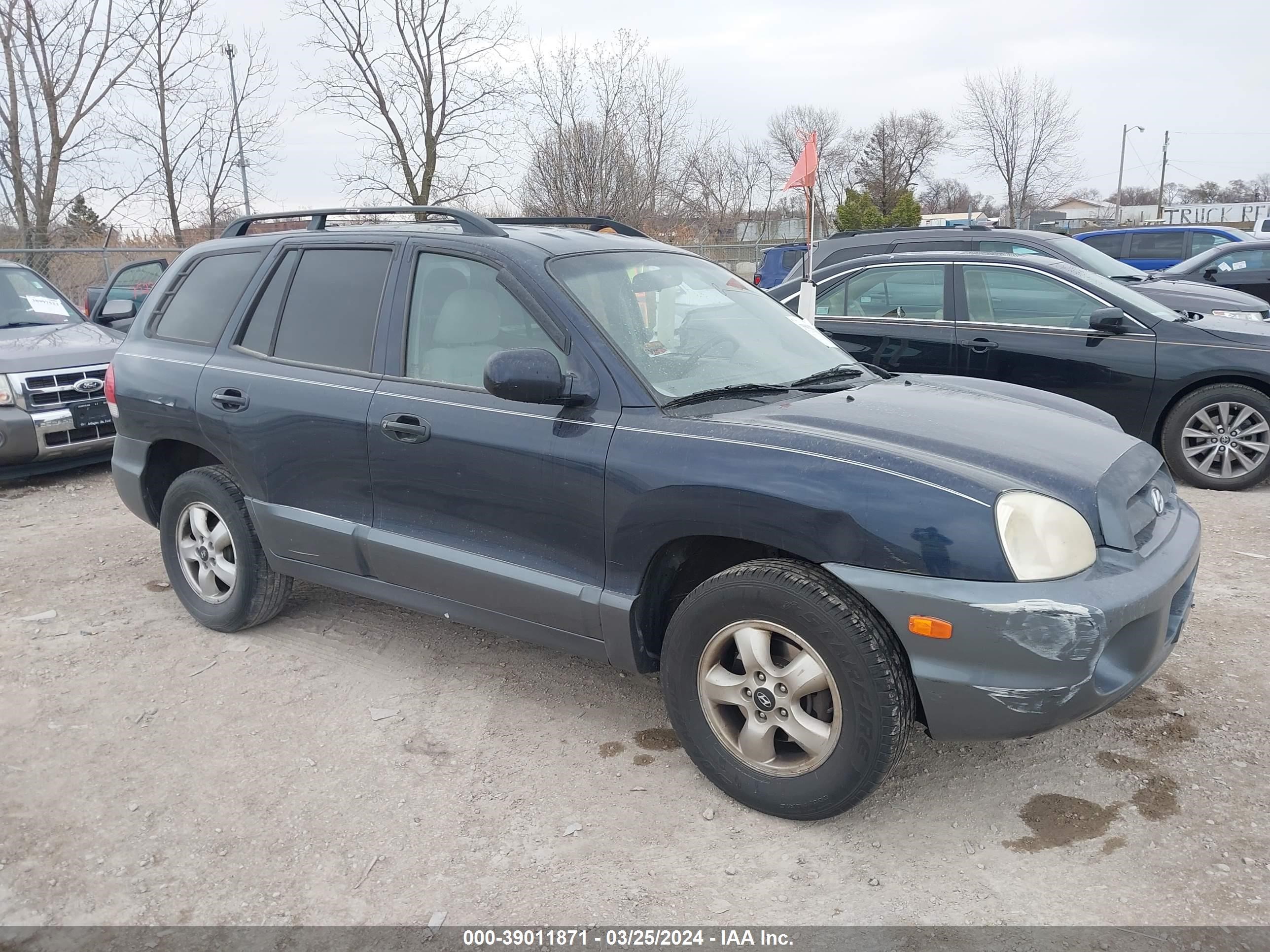 HYUNDAI SANTA FE 2005 km8sc13d55u897672