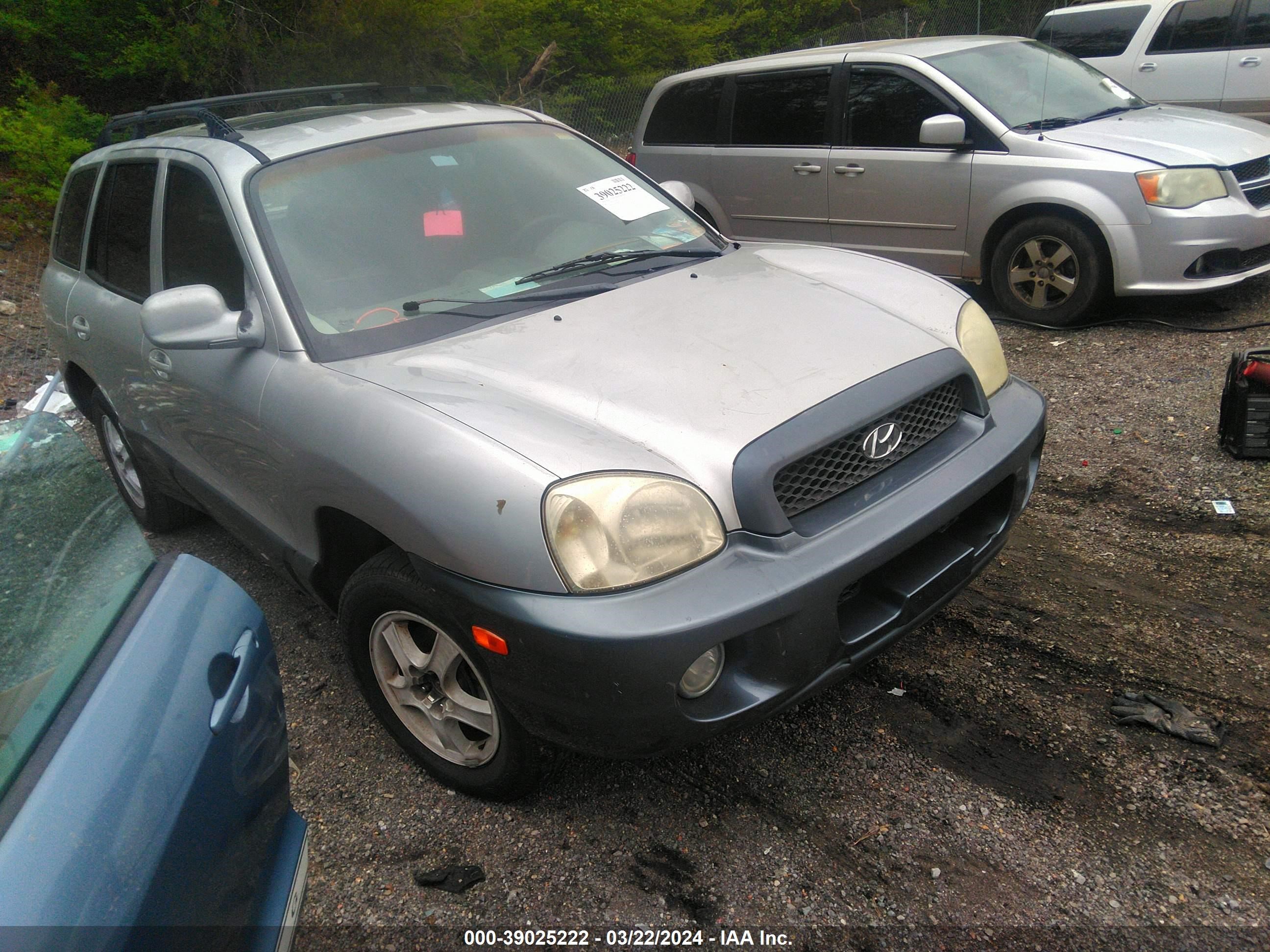 HYUNDAI SANTA FE 2003 km8sc13d63u484429