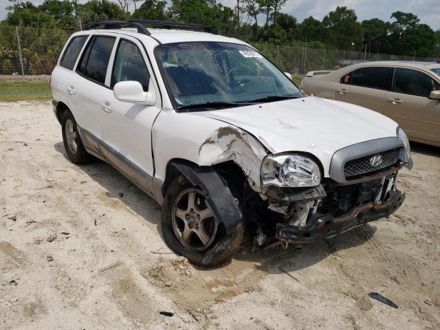 HYUNDAI SANTA FE G 2003 km8sc13d63u552437