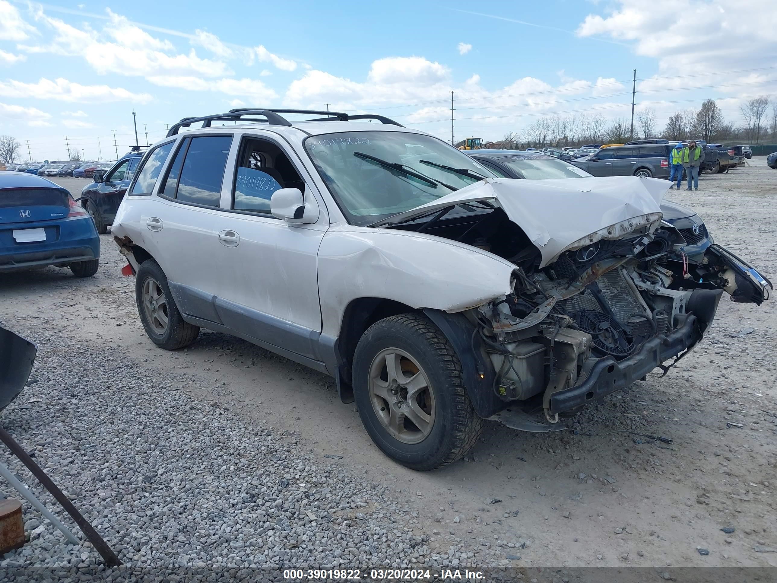 HYUNDAI SANTA FE 2004 km8sc13d64u764112