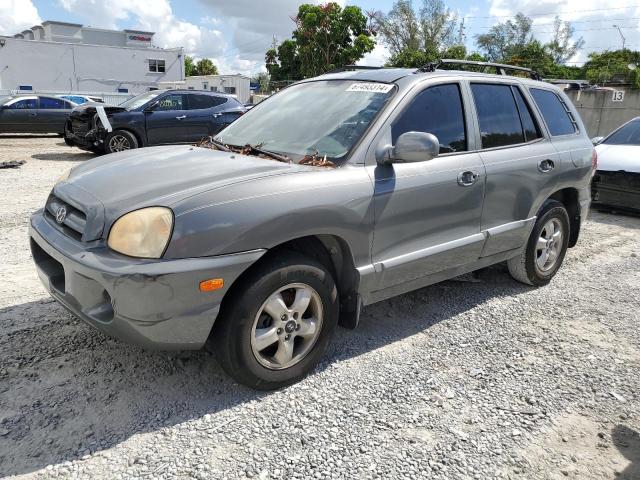 HYUNDAI SANTA FE G 2005 km8sc13d65u889869