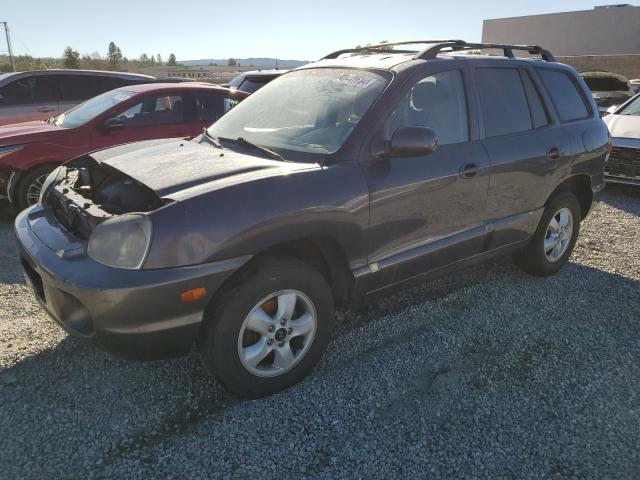 HYUNDAI SANTA FE 2005 km8sc13d65u909263