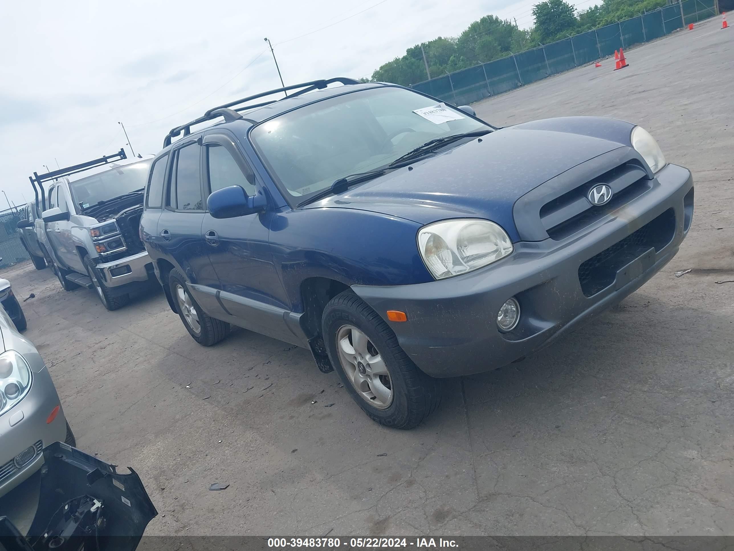 HYUNDAI SANTA FE 2006 km8sc13d66u091891