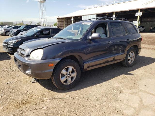 HYUNDAI SANTA FE G 2006 km8sc13d66u105868