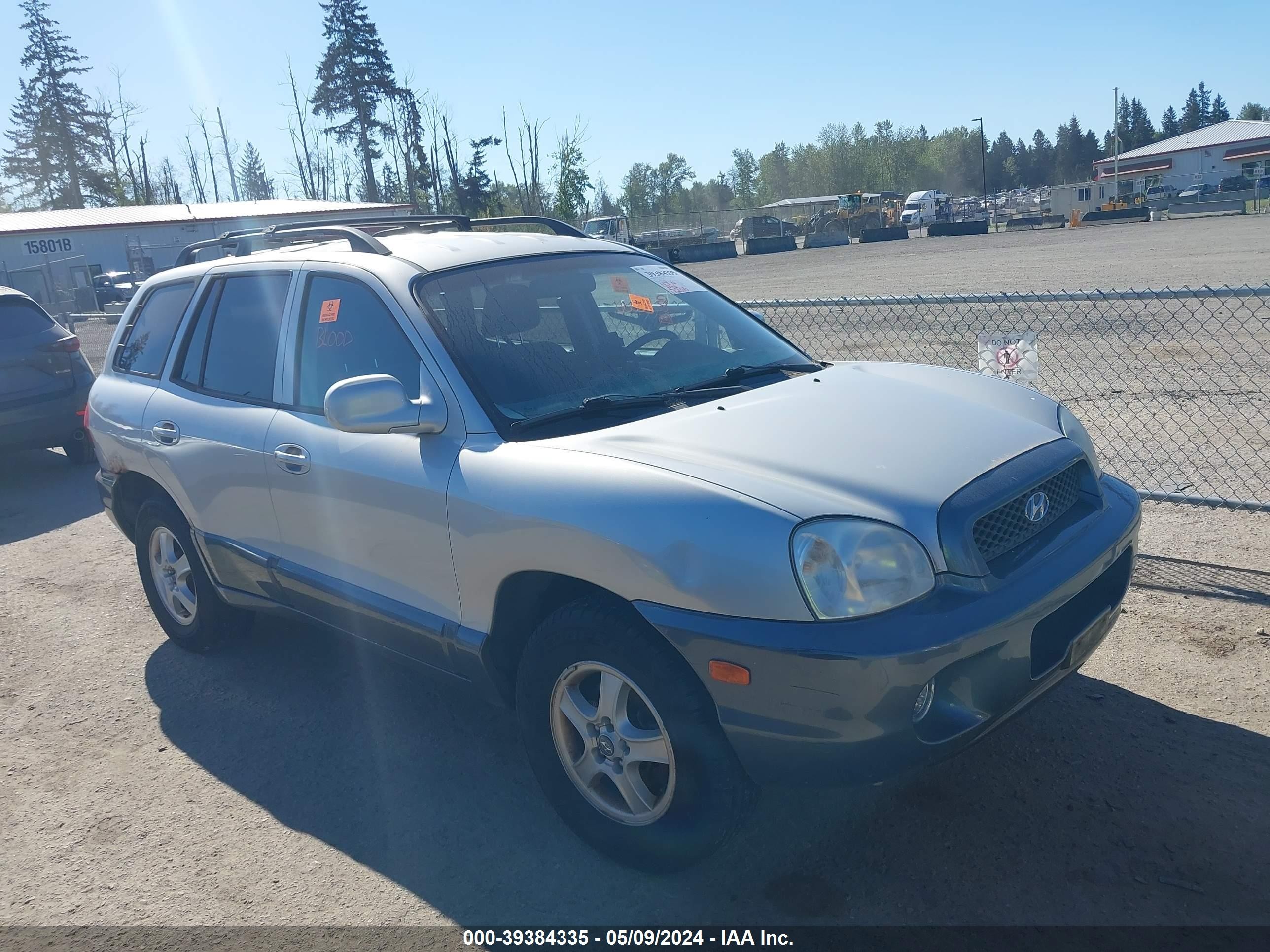 HYUNDAI SANTA FE 2004 km8sc13d74u778522