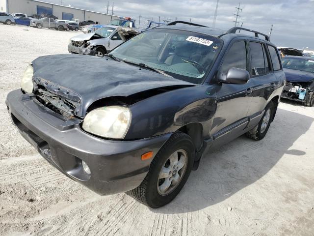 HYUNDAI SANTA FE 2006 km8sc13d76u056955