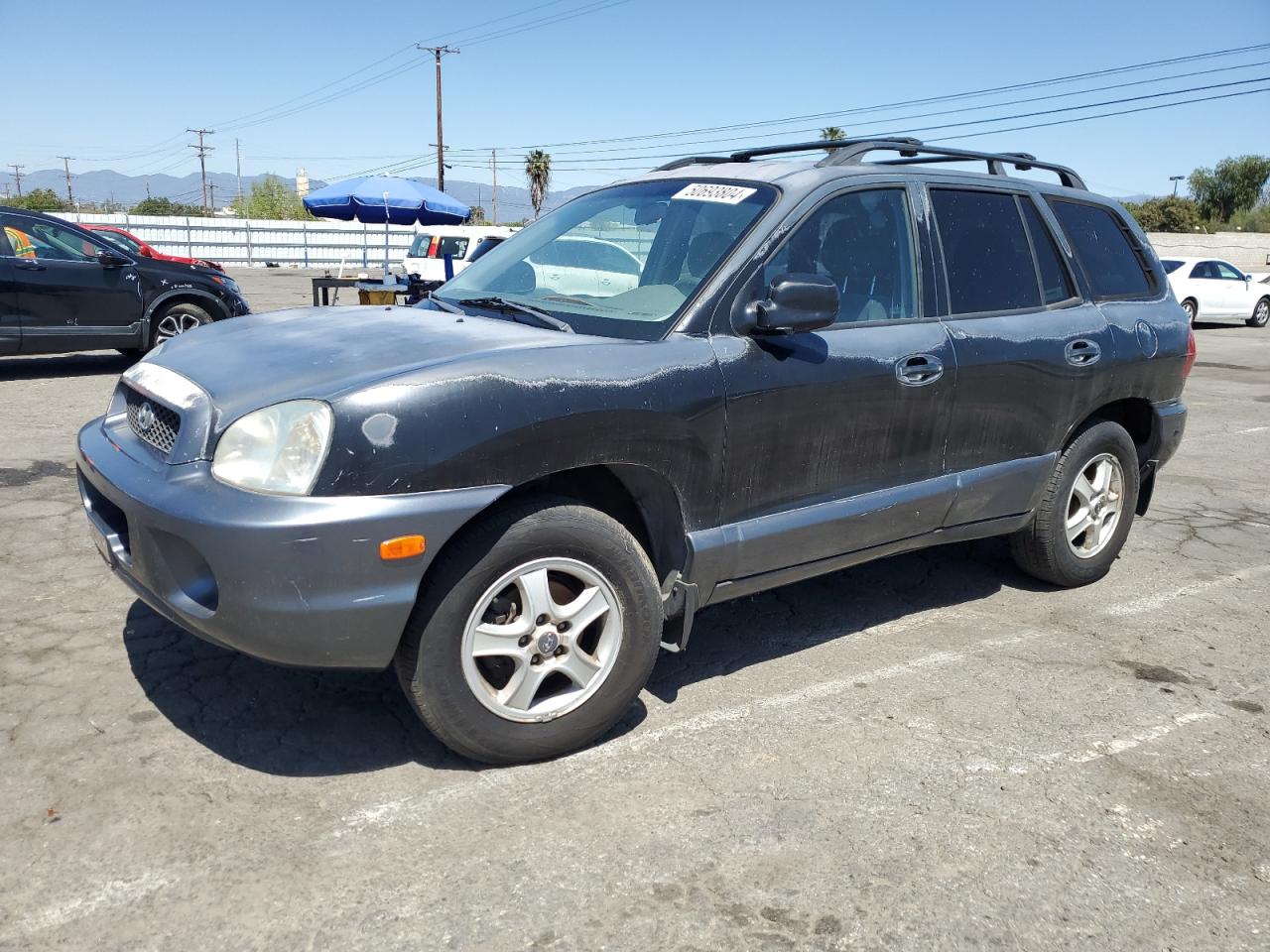 HYUNDAI SANTA FE 2002 km8sc13d82u166701