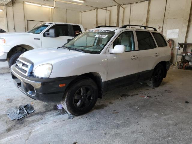 HYUNDAI SANTA FE 2005 km8sc13d85u936349