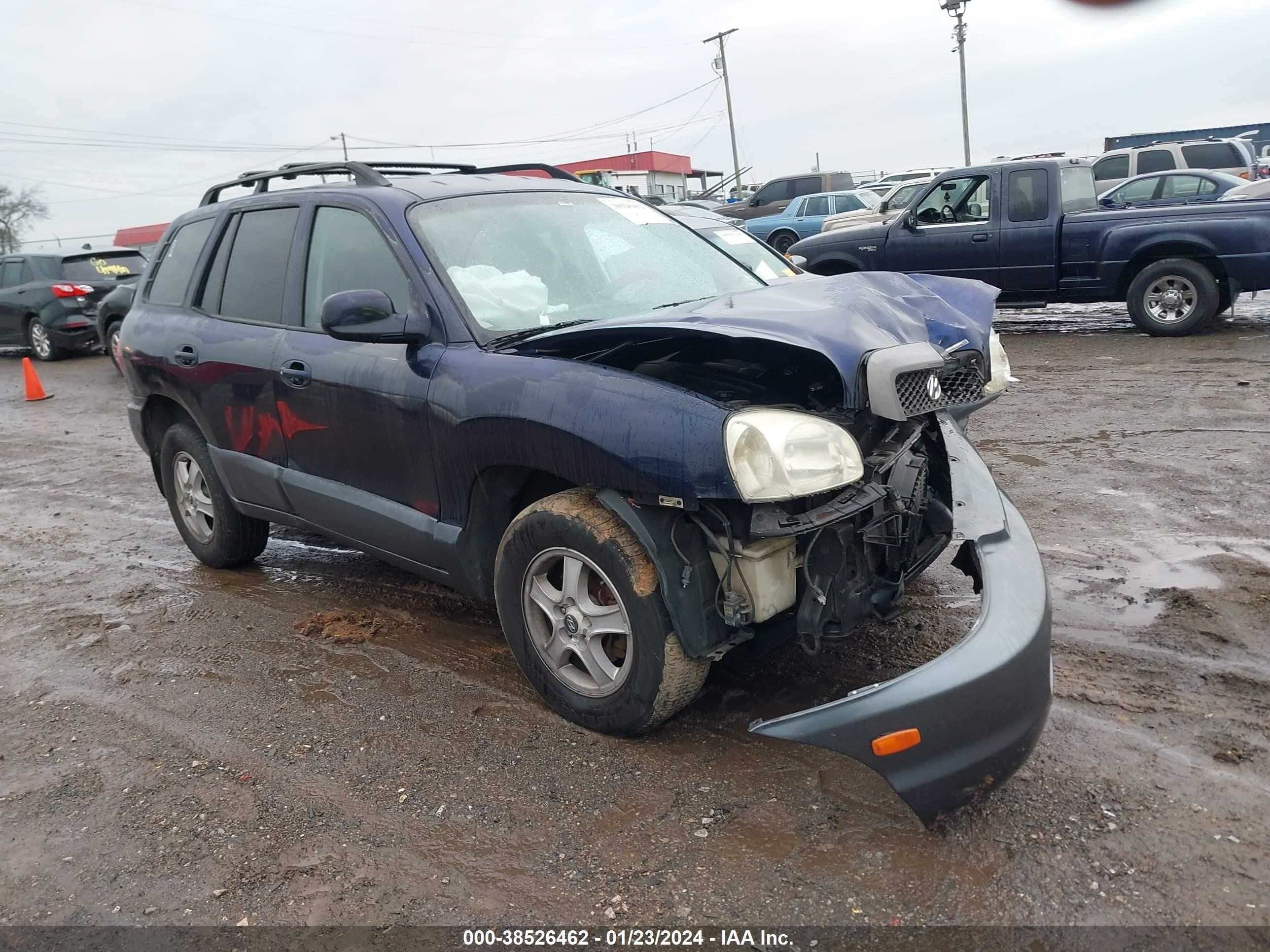 HYUNDAI SANTA FE 2004 km8sc13d94u635801