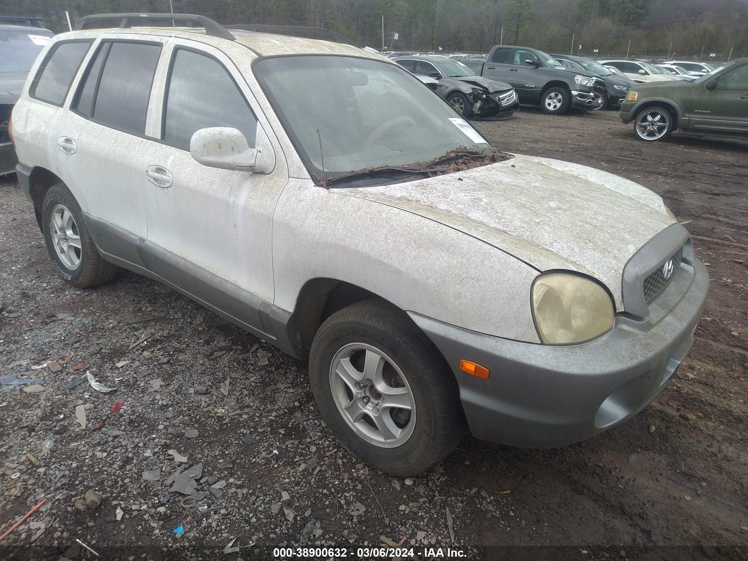 HYUNDAI SANTA FE 2004 km8sc13d94u681869