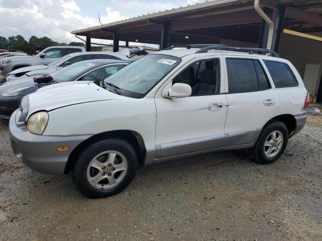 HYUNDAI SANTA FE 2004 km8sc13d94u783432