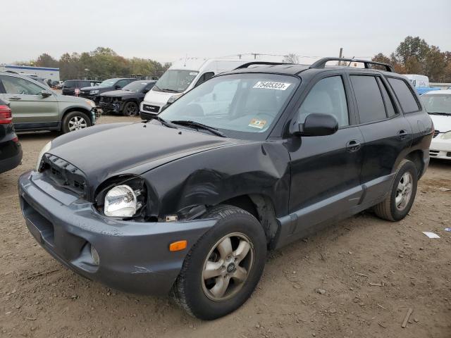 HYUNDAI SANTA FE 2006 km8sc13d96u049800