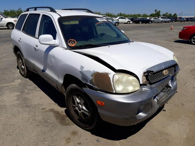 HYUNDAI SANTA FE G 2003 km8sc13dx3u446489