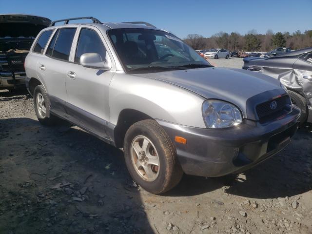 HYUNDAI SANTA FE G 2004 km8sc13dx4u570487