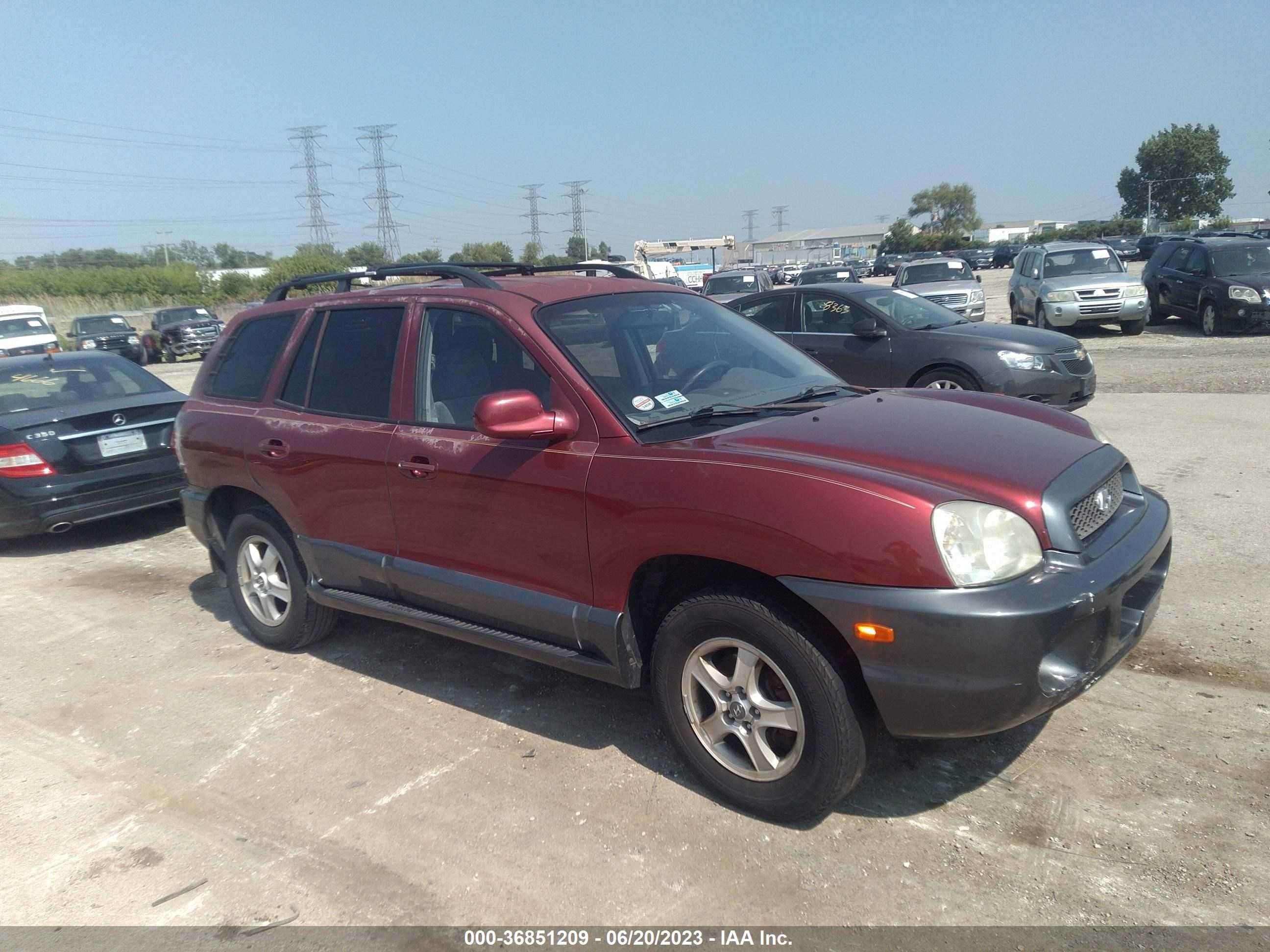 HYUNDAI SANTA FE 2004 km8sc13dx4u779423