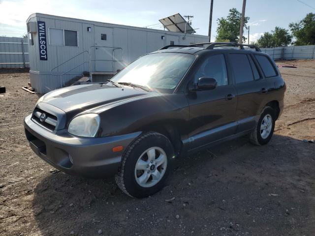 HYUNDAI SANTA FE 2005 km8sc13dx5u923814