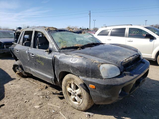 HYUNDAI SANTA FE G 2006 km8sc13e06u065568