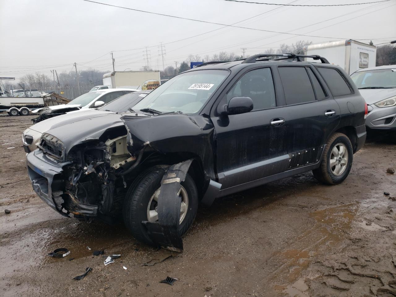 HYUNDAI SANTA FE 2006 km8sc13e06u078059