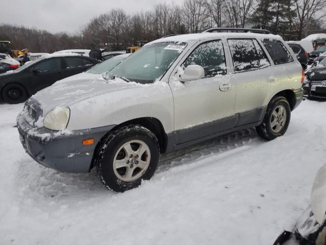 HYUNDAI SANTA FE 2003 km8sc13e23u519704