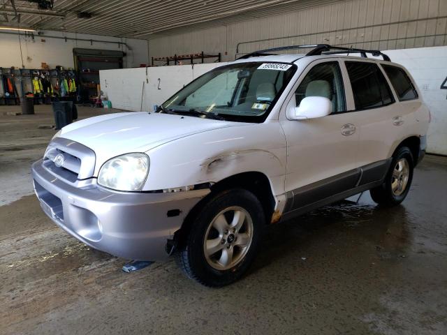 HYUNDAI SANTA FE 2005 km8sc13e25u888890