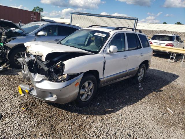 HYUNDAI SANTA FE 2005 km8sc13e45u968711