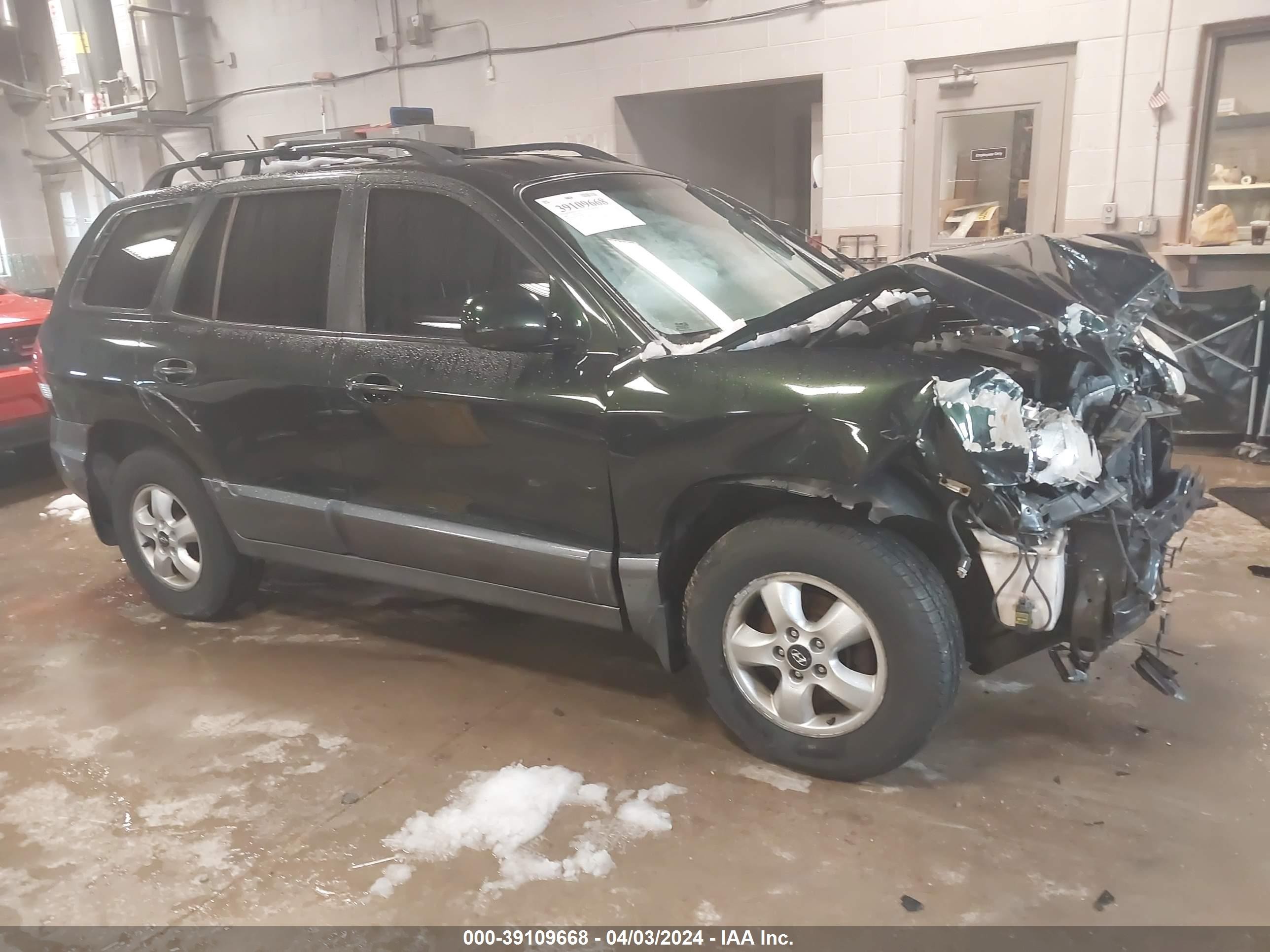 HYUNDAI SANTA FE 2006 km8sc13e56u096895