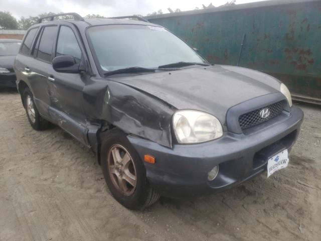 HYUNDAI SANTA FE G 2003 km8sc13e63u513095