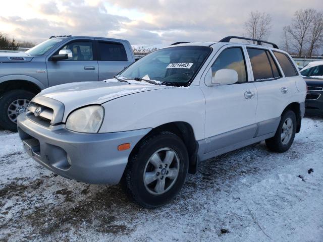 HYUNDAI SANTA FE 2005 km8sc13e65u885300