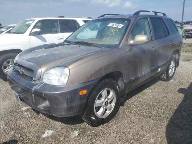 HYUNDAI SANTA FE G 2005 km8sc13e65u996817