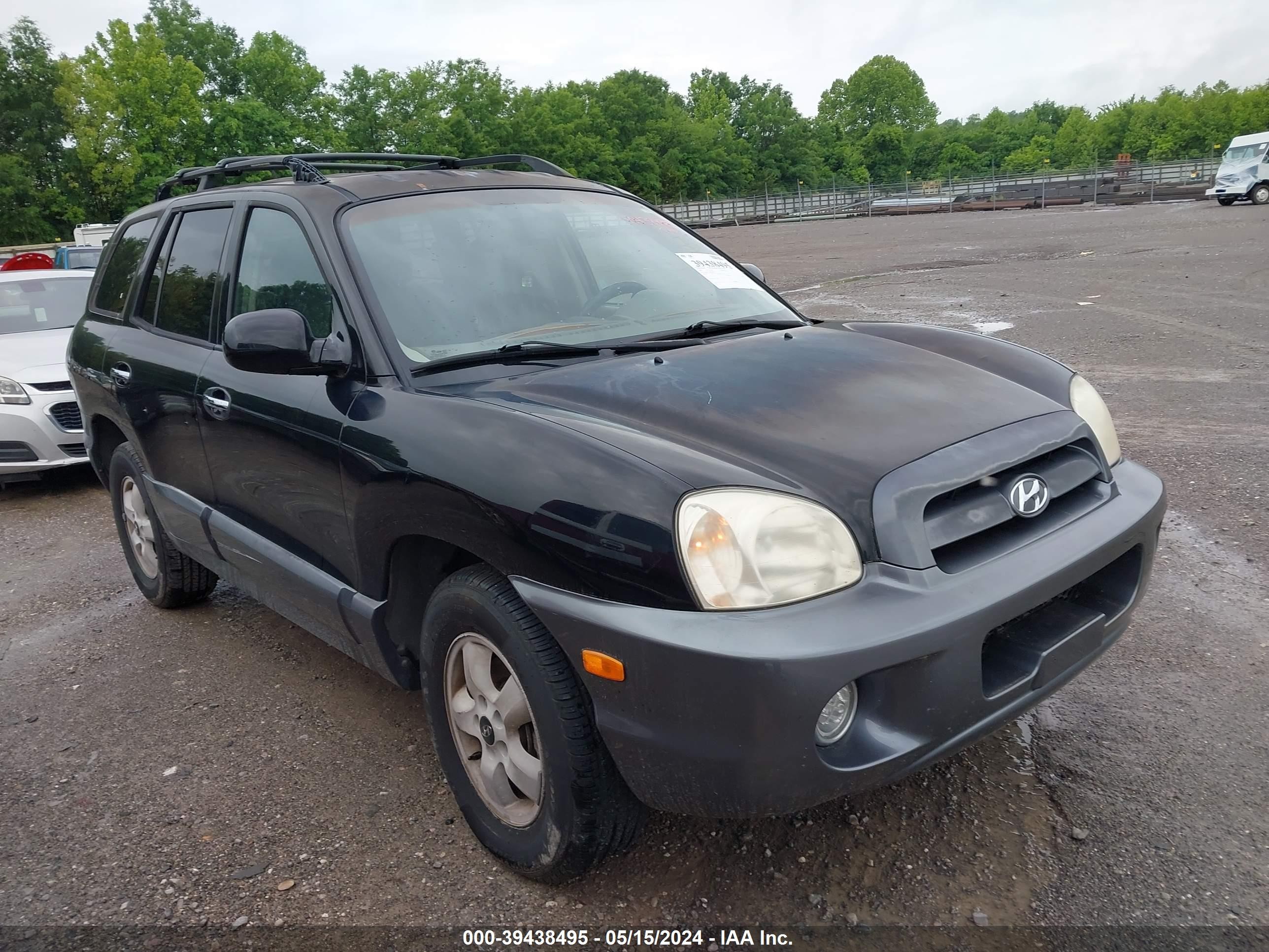 HYUNDAI SANTA FE 2006 km8sc13e86u099130