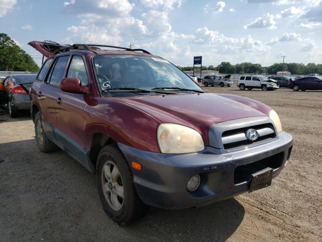 HYUNDAI SANTA FE G 2005 km8sc13e95u861539