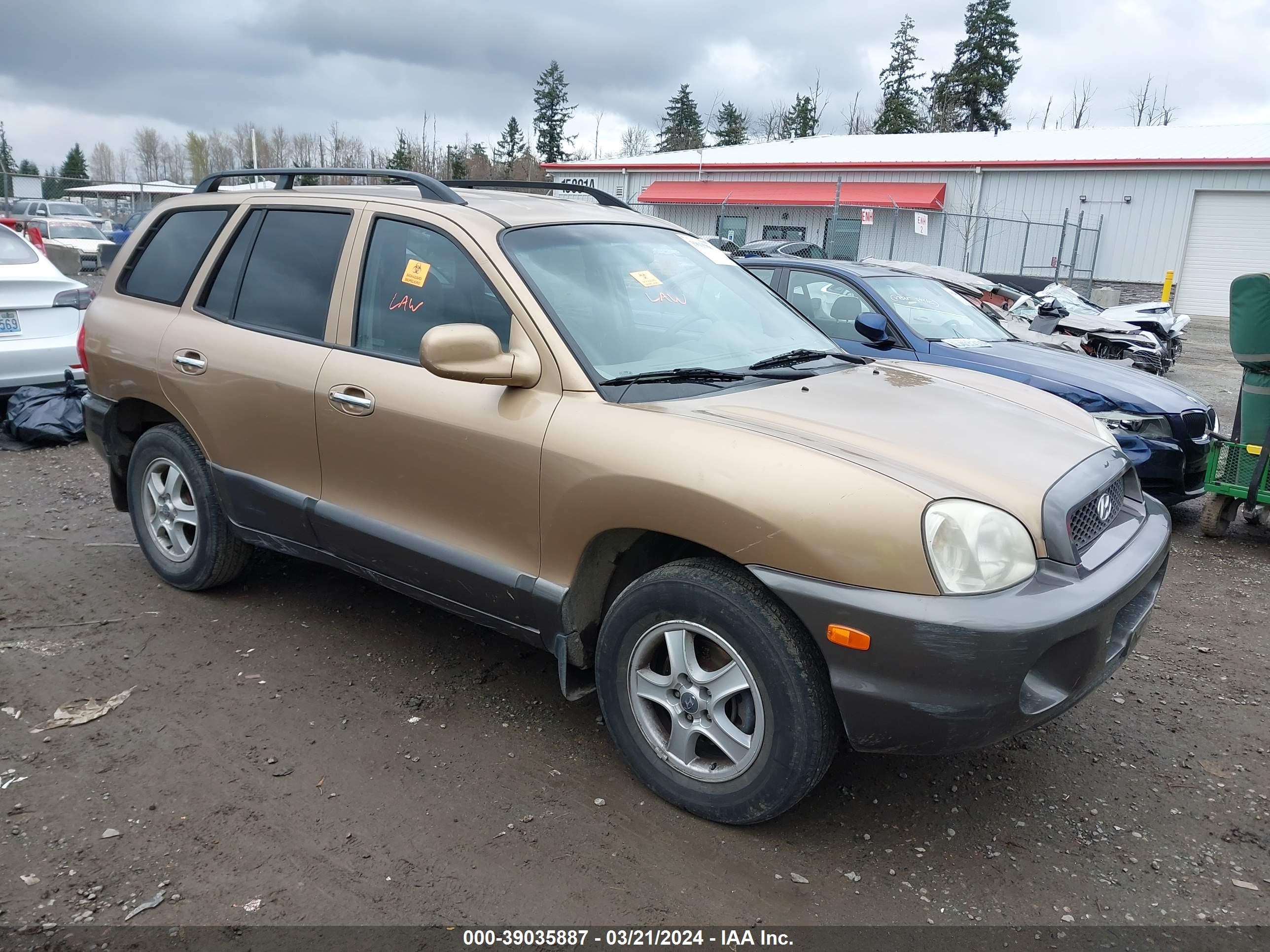 HYUNDAI SANTA FE 2002 km8sc73d02u149524