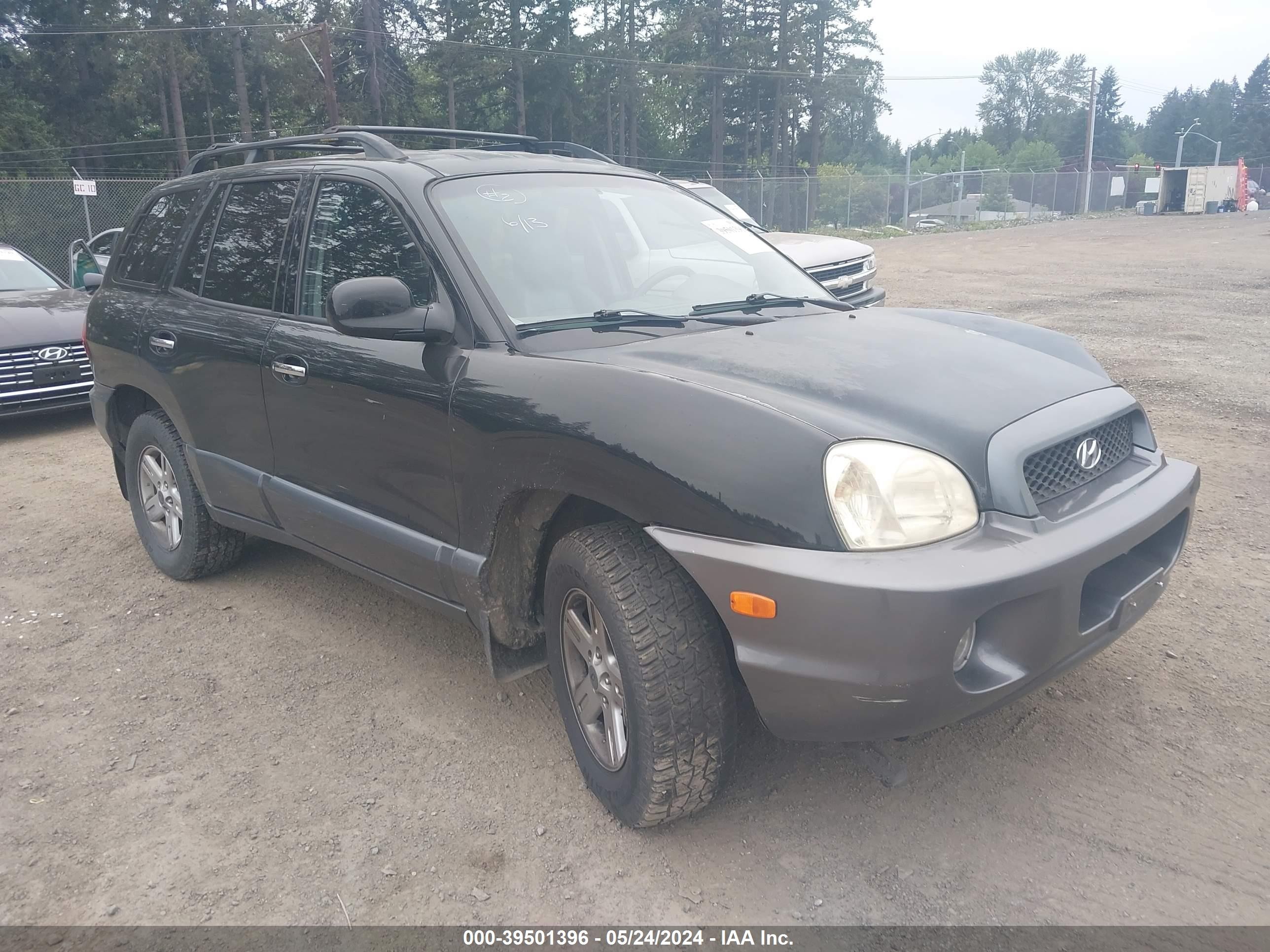 HYUNDAI SANTA FE 2002 km8sc73d02u227705