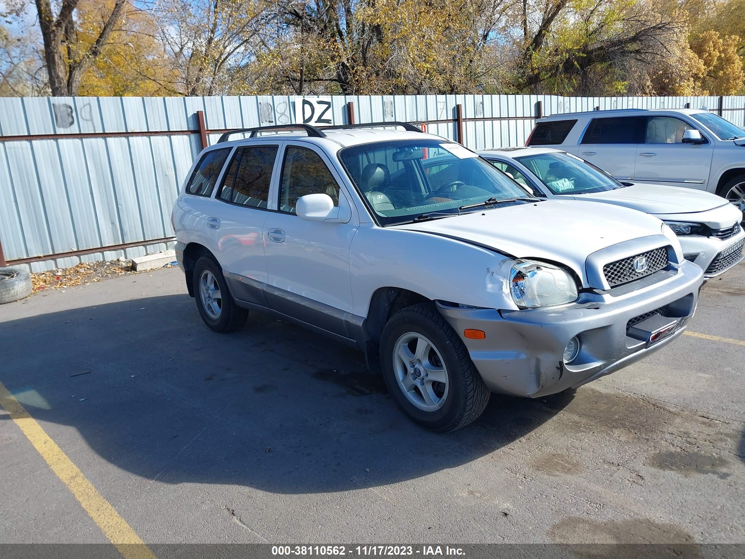 HYUNDAI SANTA FE 2003 km8sc73d03u396253