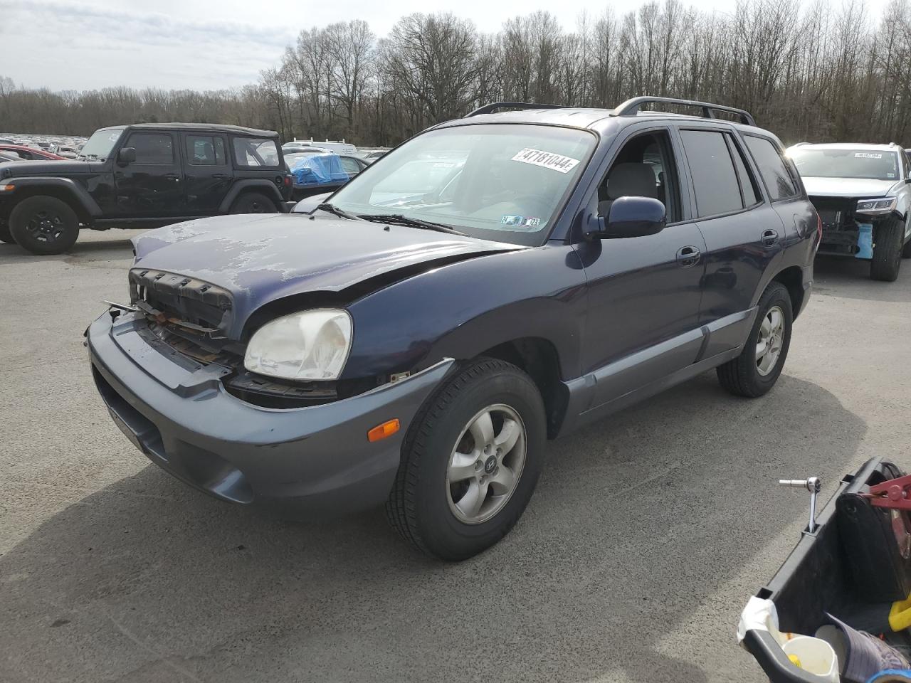 HYUNDAI SANTA FE 2005 km8sc73d05u927406