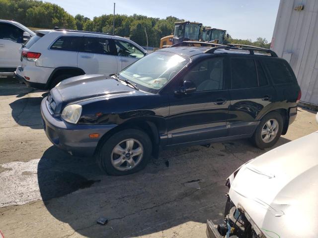 HYUNDAI SANTA FE G 2006 km8sc73d06u104251