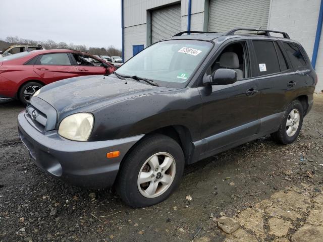 HYUNDAI SANTA FE 2005 km8sc73d15u857687